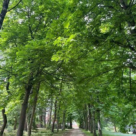 Domaine La Belle Histoire - Cote Parc 3*